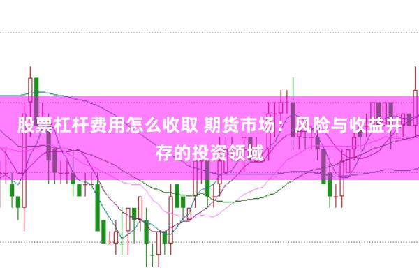 股票杠杆费用怎么收取 期货市场：风险与收益并存的投资领域