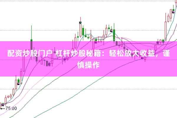 配资炒股门户 杠杆炒股秘籍：轻松放大收益，谨慎操作