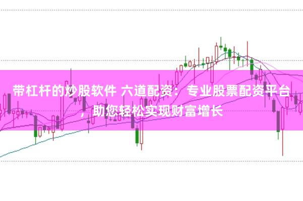 带杠杆的炒股软件 六道配资：专业股票配资平台，助您轻松实现财富增长