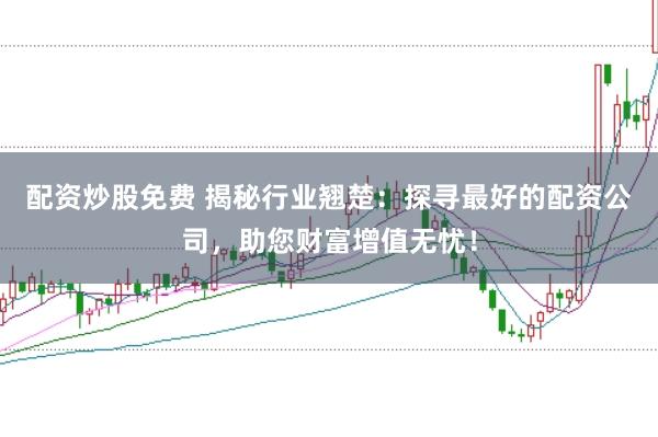 配资炒股免费 揭秘行业翘楚：探寻最好的配资公司，助您财富增值无忧！