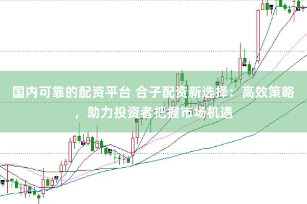 国内可靠的配资平台 合子配资新选择：高效策略，助力投资者把握市场机遇