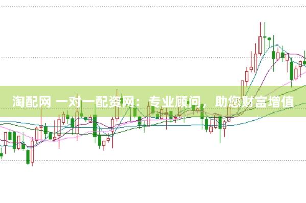 淘配网 一对一配资网：专业顾问，助您财富增值