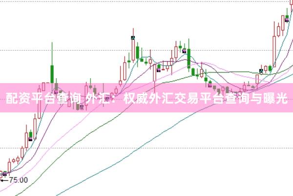 配资平台查询 外汇：权威外汇交易平台查询与曝光