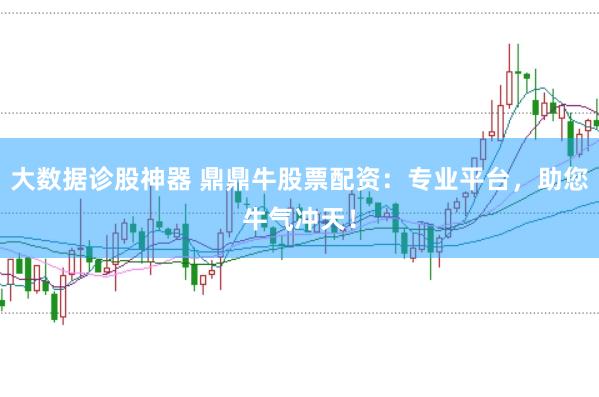 大数据诊股神器 鼎鼎牛股票配资：专业平台，助您牛气冲天！