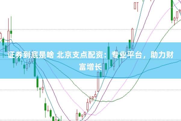 证券到底是啥 北京支点配资：专业平台，助力财富增长