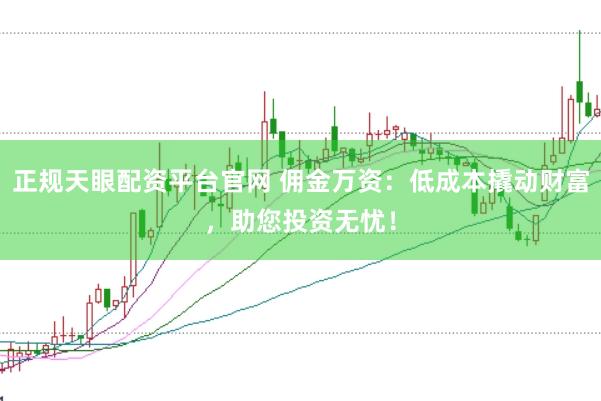 正规天眼配资平台官网 佣金万资：低成本撬动财富，助您投资无忧！