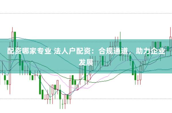 配资哪家专业 法人户配资:合规通道,助力企业发展