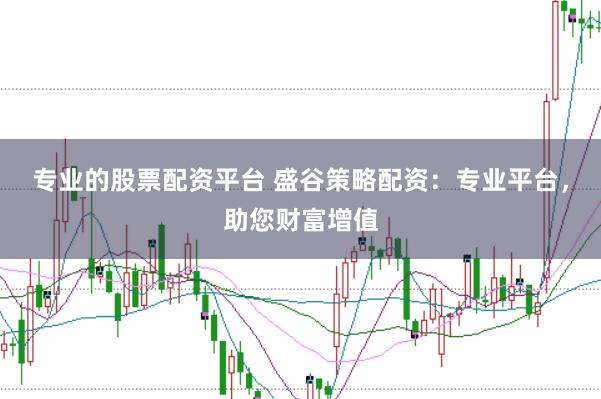 专业的股票配资平台 盛谷策略配资:专业平台,助您财富增值
