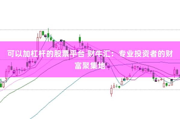 可以加杠杆的股票平台 财牛汇:专业投资者的财富聚集地