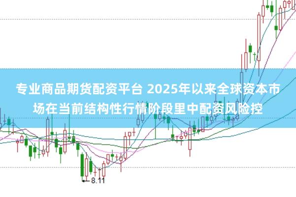 专业商品期货配资平台 2025年以来全球资本市场在当前结构性行情阶段里中配资风险控