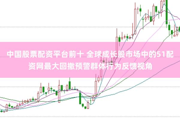 中国股票配资平台前十 全球成长股市场中的51配资网最大回撤预警群体行为反馈视角