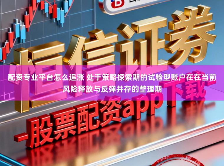 配资专业平台怎么追涨 处于策略探索期的试验型账户在在当前风险释放与反弹并存的整理期