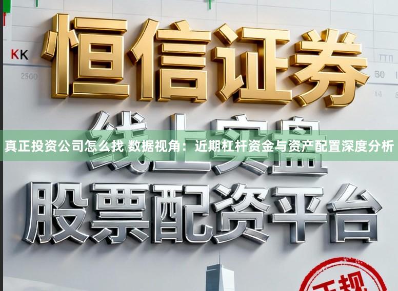 真正投资公司怎么找 数据视角：近期杠杆资金与资产配置深度分析